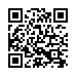 安卓风车工具箱v10.1.9绿色版-趣奇资源网-第11张图片